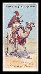 Egyptian on Camel
